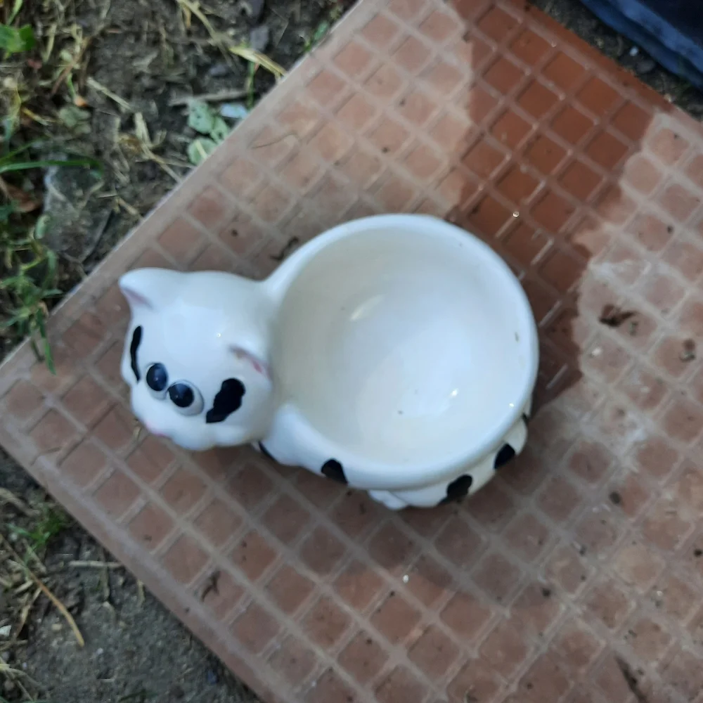 Water/Food dish